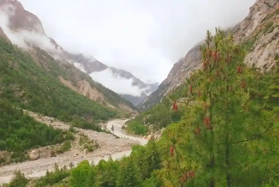 Gangotri National Park