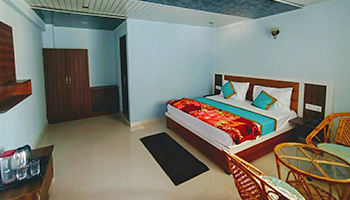 Hotel Divine Ganga Badrinath