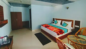 Hotel Divine Ganga Badrinath