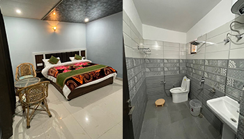 Hotel Divine Ganga Badrinath