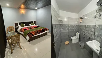 Hotel Divine Ganga Badrinath