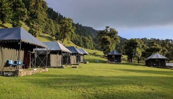 Chopta Valley Camp