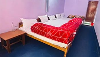 Hotel Toyeshi Cottage Gangotri
