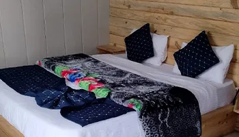 Mountain Trex Eco Hut Badrinath