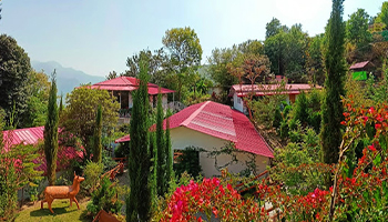 Hotel The Village Retreat Resort