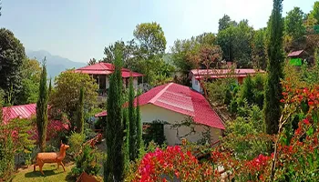 Hotel The Village Retreat Resort