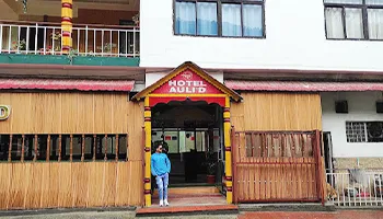 Hotel Auli D