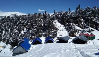 Mini-Switzer Camp and Cottage