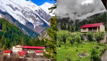 Hotel Himalayan Nature Resort Uttarkashi